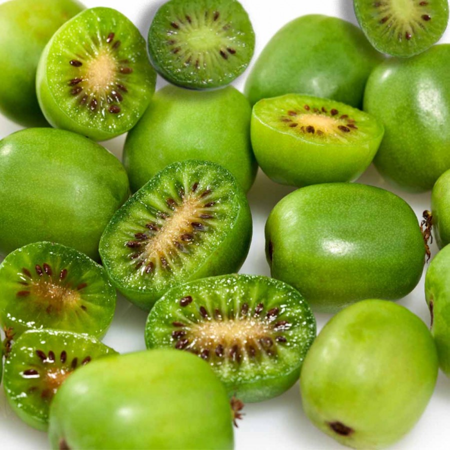 Kiwi Arguta (Ghiveci)